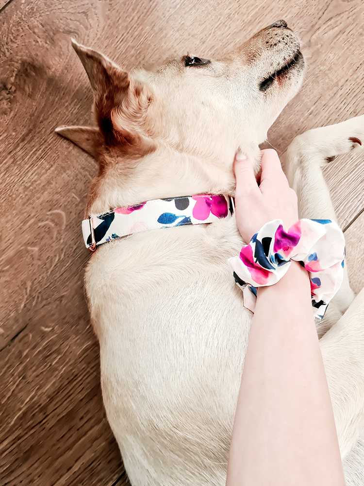 PLAYFUL GARDEN COLLAR