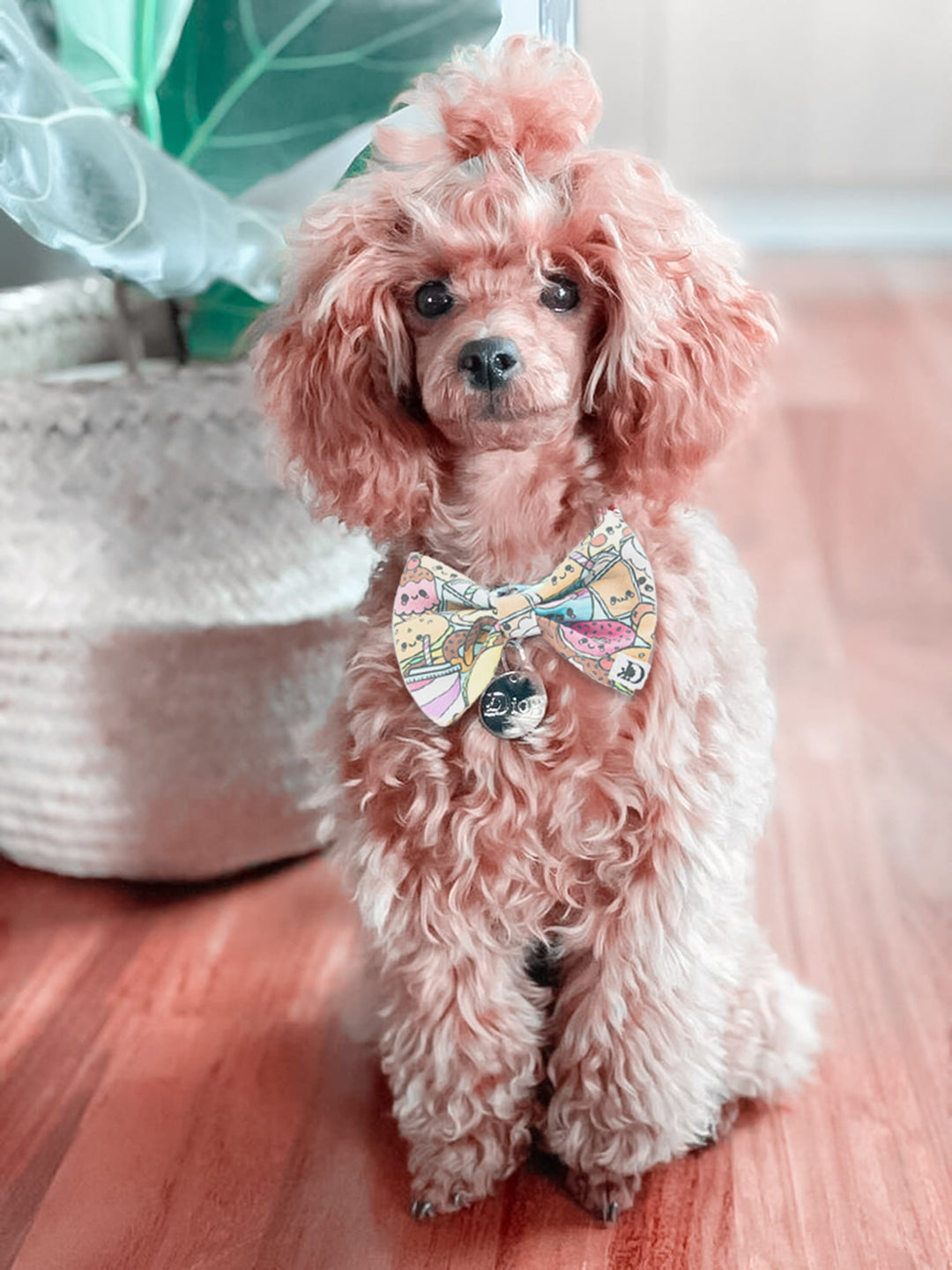 OMG KAWAII BOW TIE