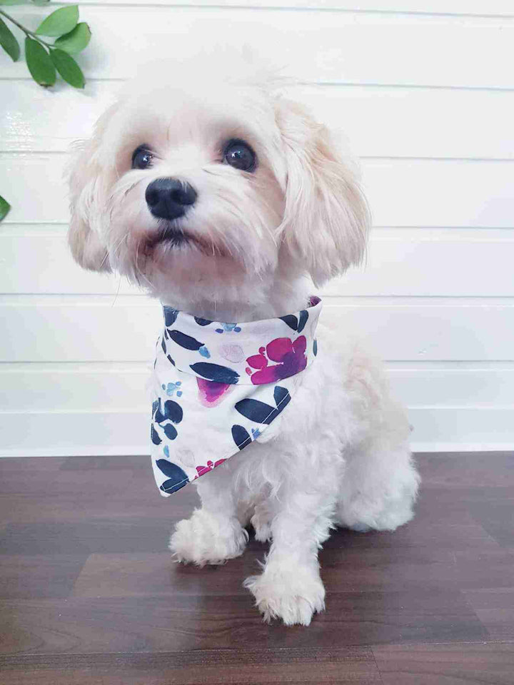 Diog dog bandana for all occasions