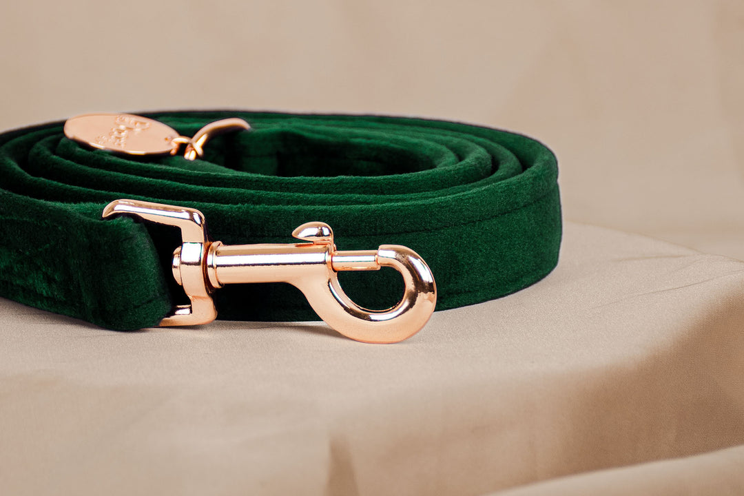 GREEN VELVET LEASH