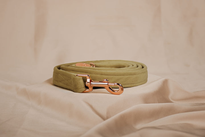 GOLD VELVET LEASH