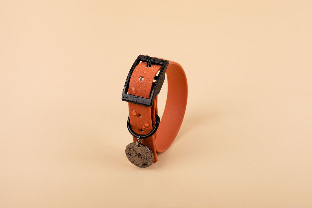 Image of an orange waterproof dog collar with a black buckle.
