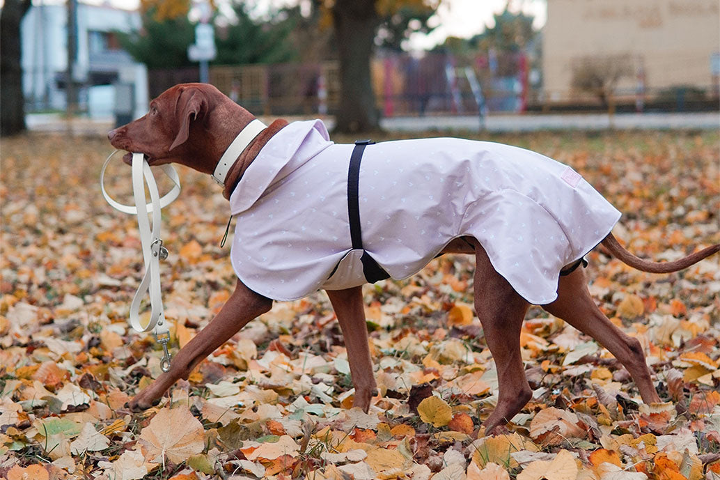 Beige raincoat