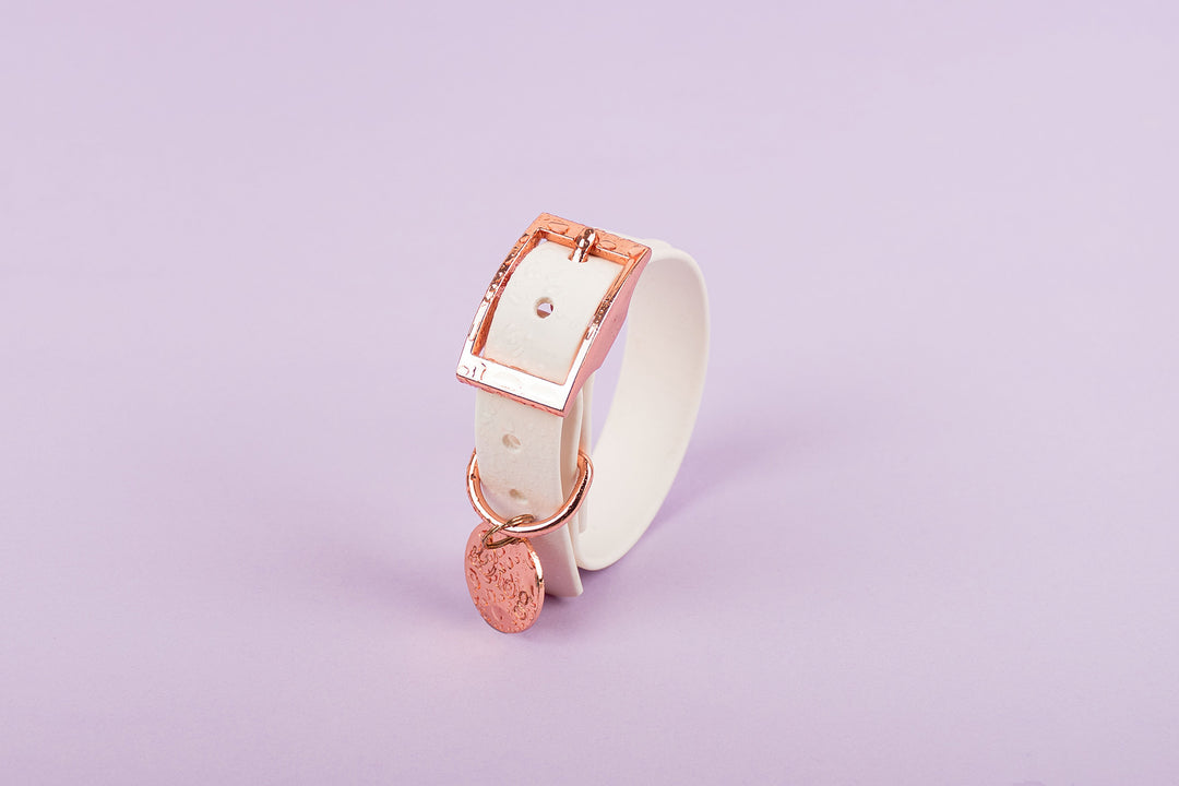 Image of a white waterproof dog collar with a rose gold buckle.