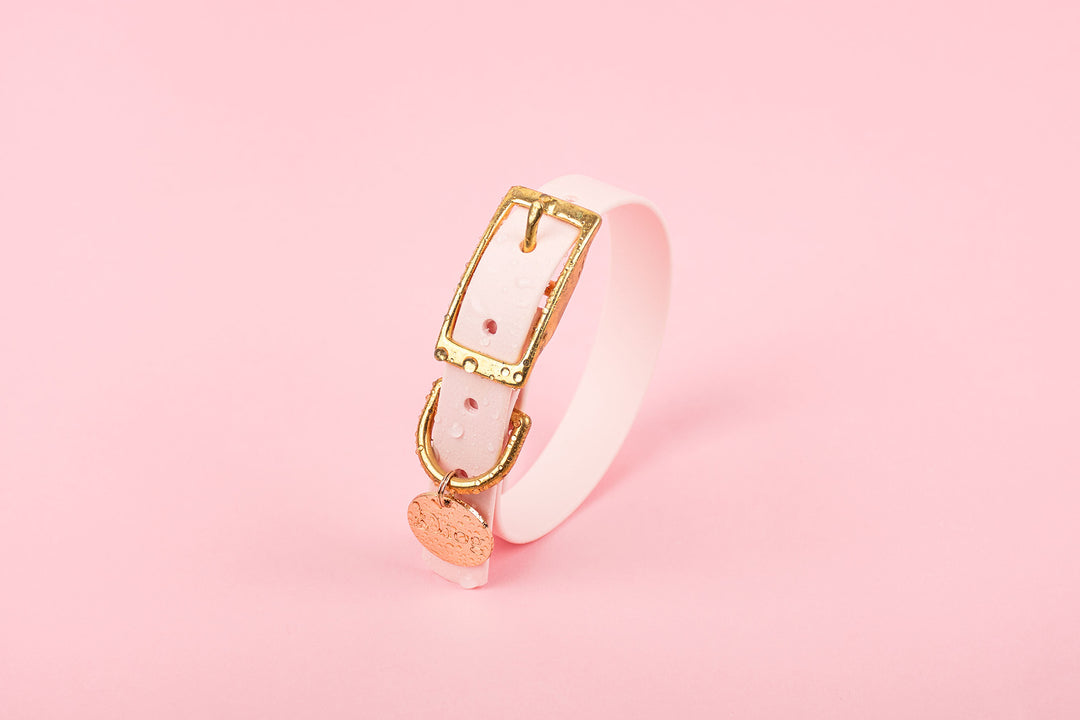 Image of a pink dog collar with a gold buckle on a pink background.