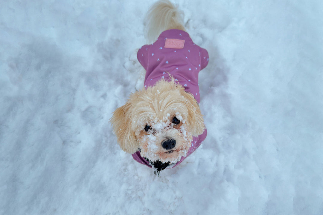 Pink raincoat