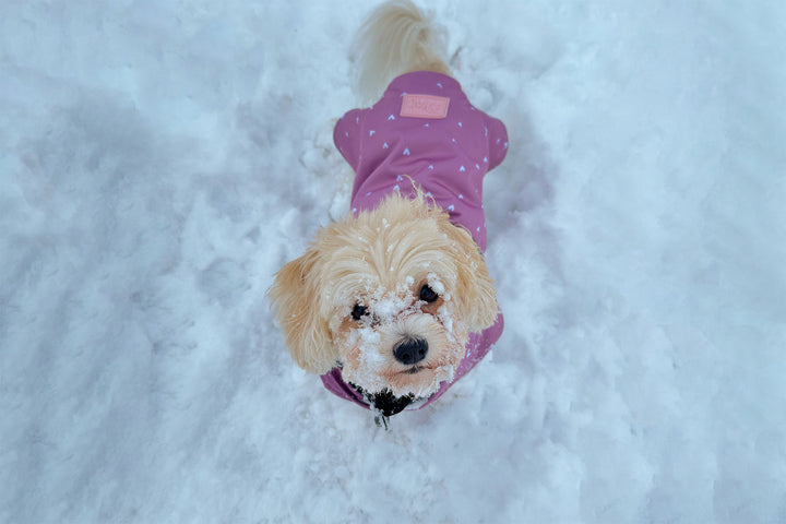 Pink raincoat