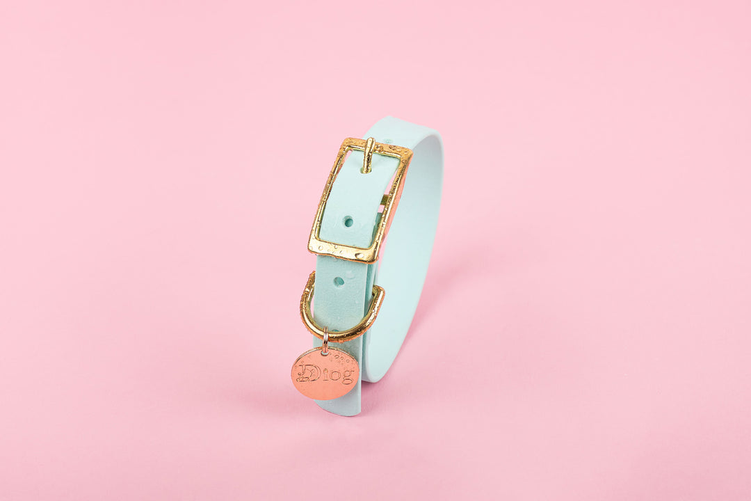 A light blue waterproof dog collar with a gold buckle.