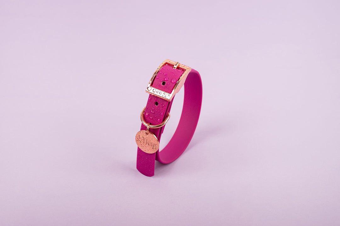 A pink waterproof dog collar with a rose gold buckle.