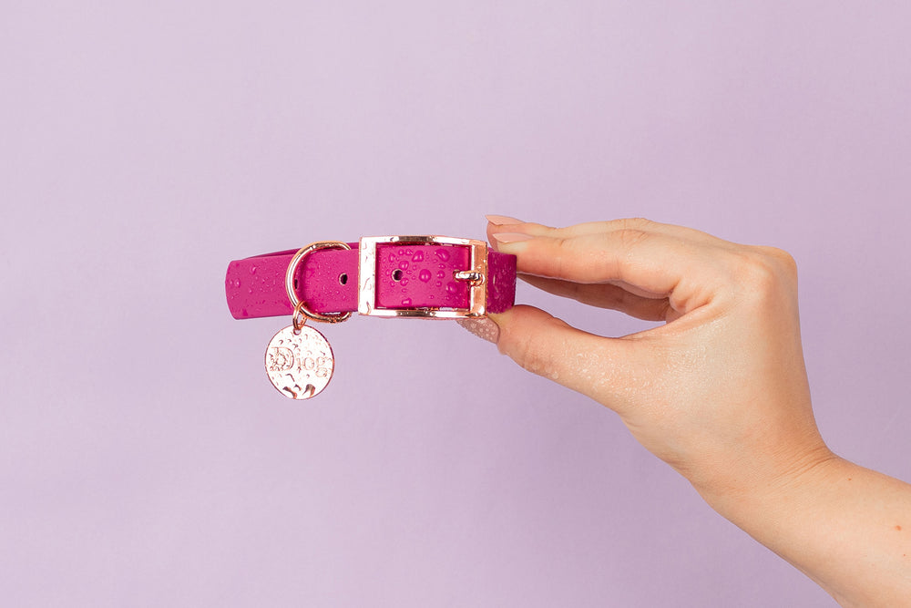 Image of a person holding a pink dog collar with a rose gold buckle.