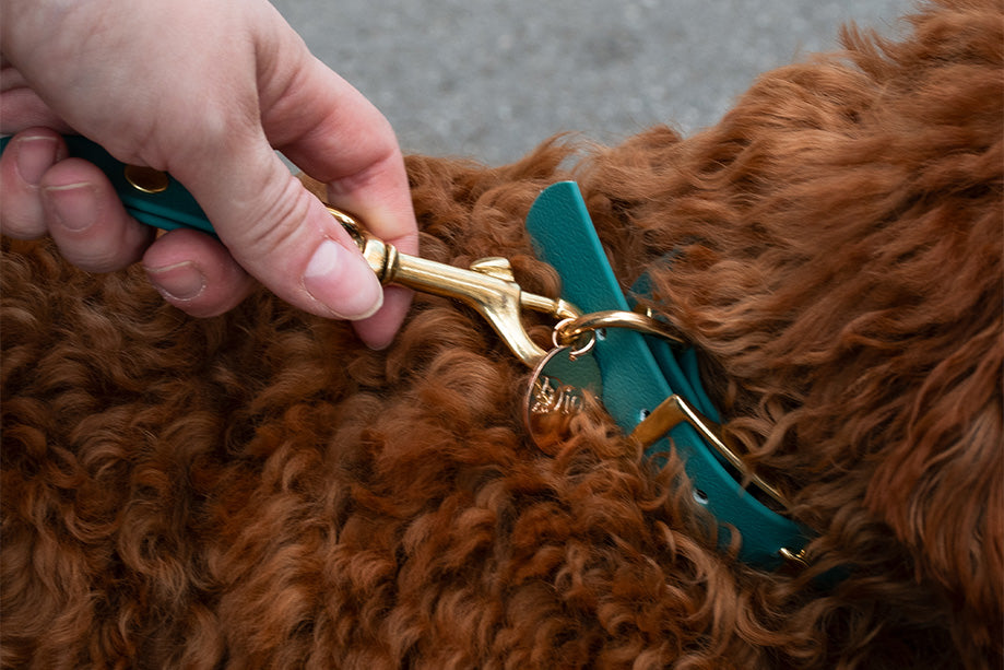 EMERALD WATERPROOF COLLAR