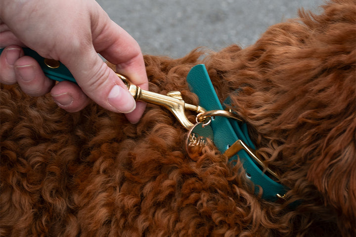 EMERALD WATERPROOF LEASH