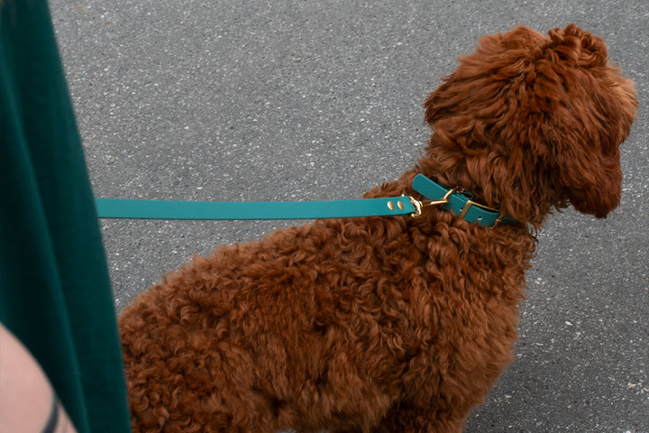 EMERALD WATERPROOF LEASH