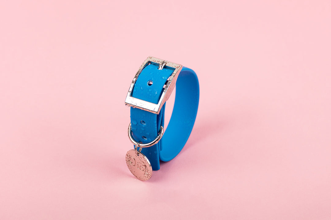 A blue waterproof dog collar with a silver hardware on a pink background.