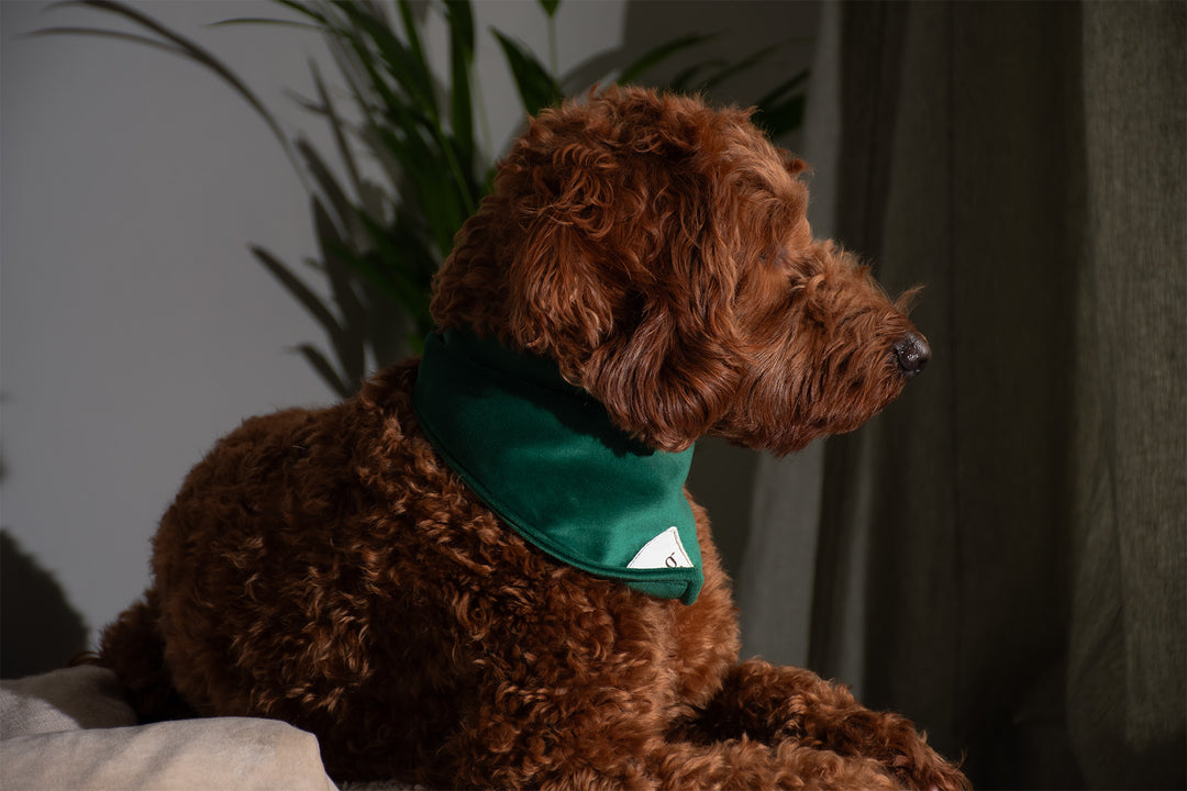GREEN VELVET BANDANA