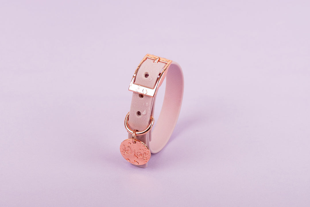 A pink waterproof dog collar with a rose gold buckle.