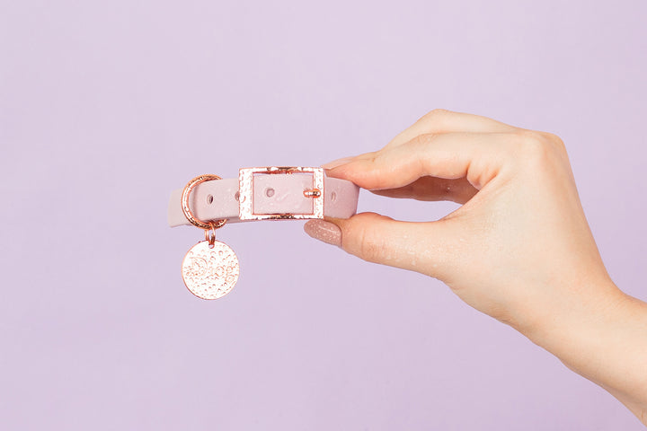  A close-up photo of a person holding a pink waterproof dog collar with a rose gold buckle.