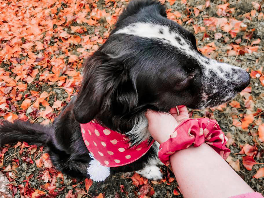 MERRY DOTS BANDANA