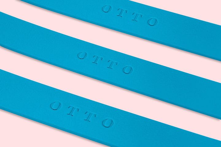 Close-up of blue waterproof collars. The collars have the names embossed on them.