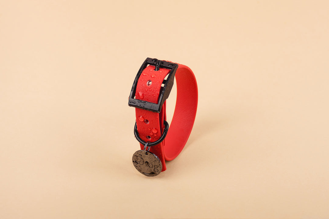 Image of a red waterproof dog collar with a black buckle.