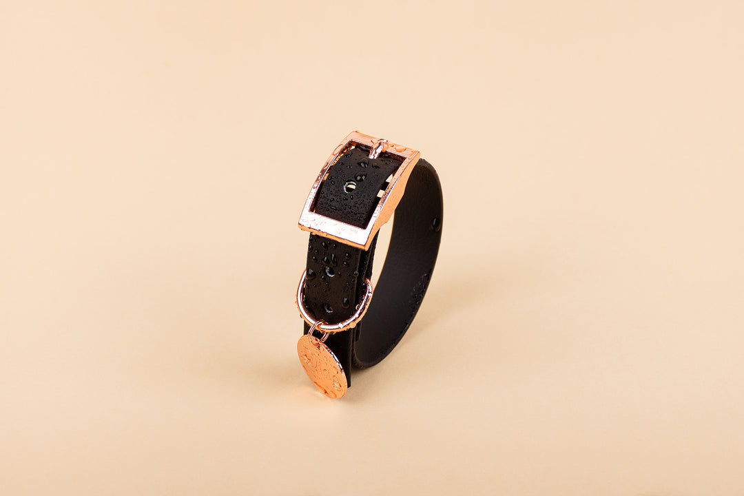 Image of a black waterproof dog collar with a rose gold buckle.
