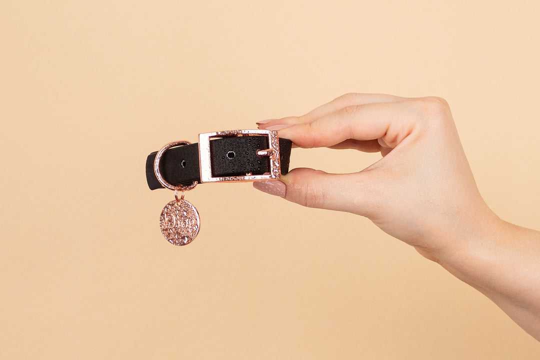 A person holding a black waterproof dog collar with a rose gold buckle against a yellow background.