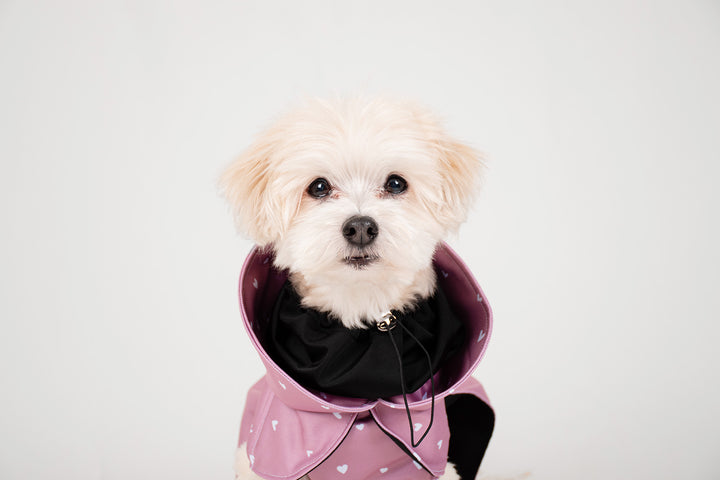 Pink raincoat