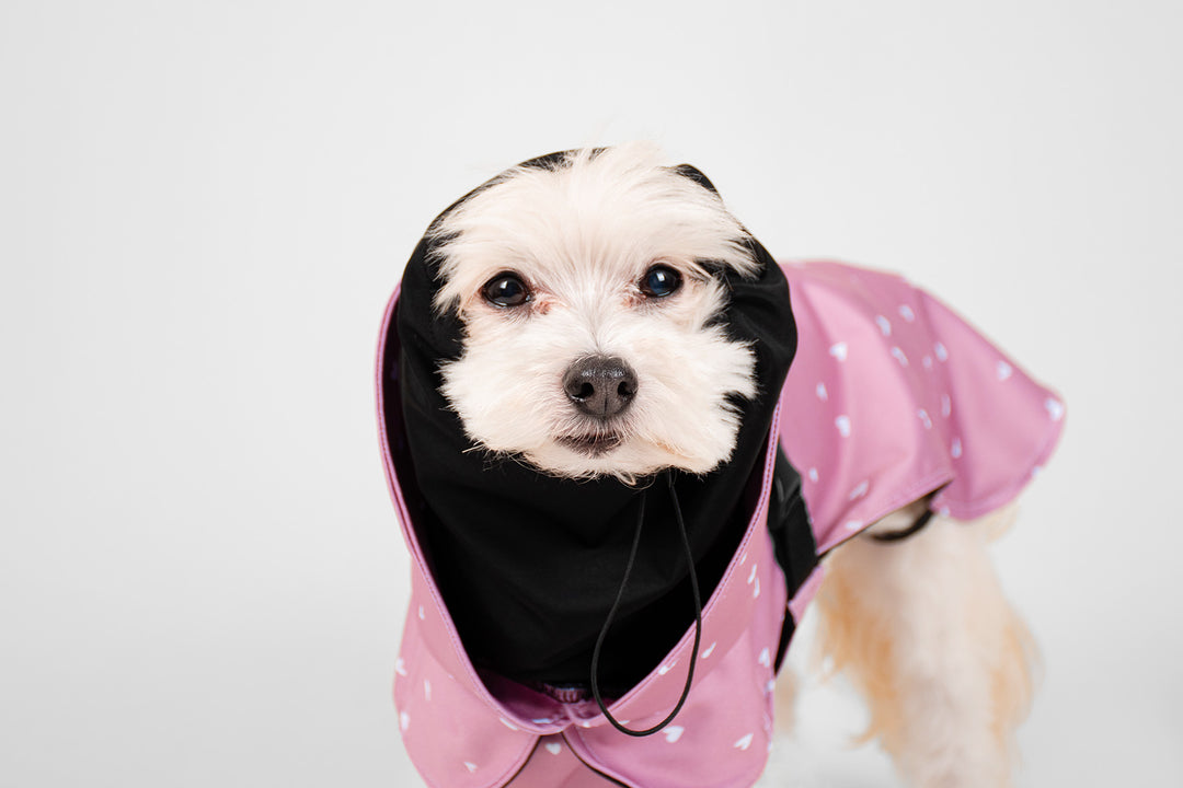 Pink raincoat