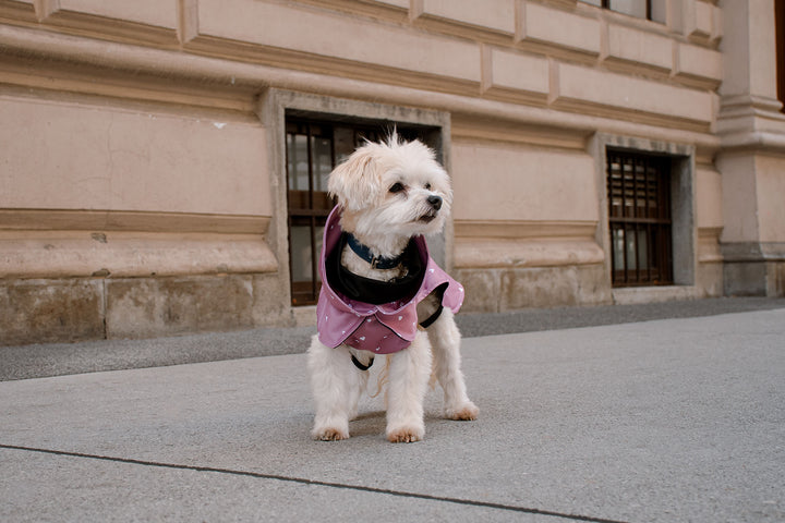 Pink raincoat