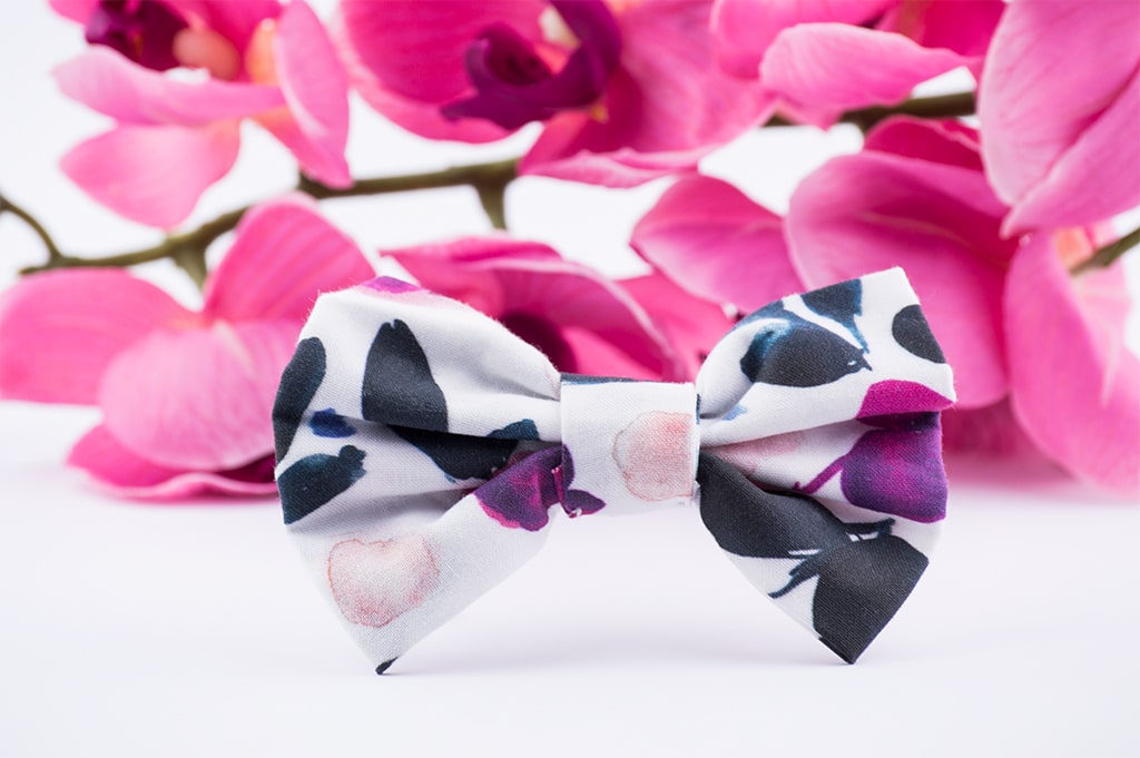 Diog dog bow tie for all occasions