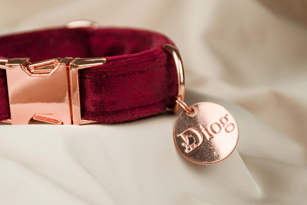 Velvet red collar with sleek rose-gold hardware.