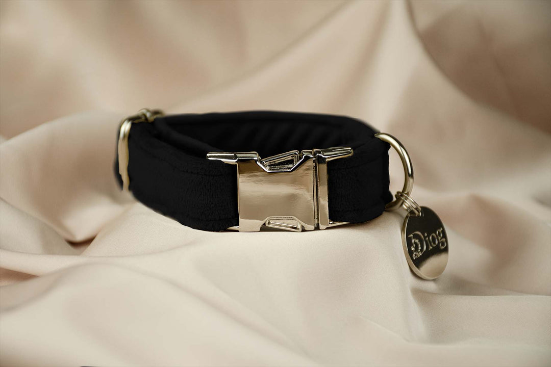 Velvet black collar with sleek silver hardware.