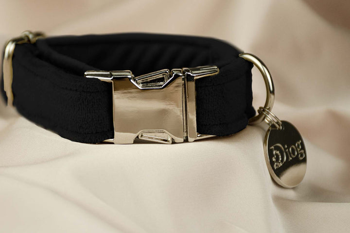 Velvet black collar with sleek silver hardware.