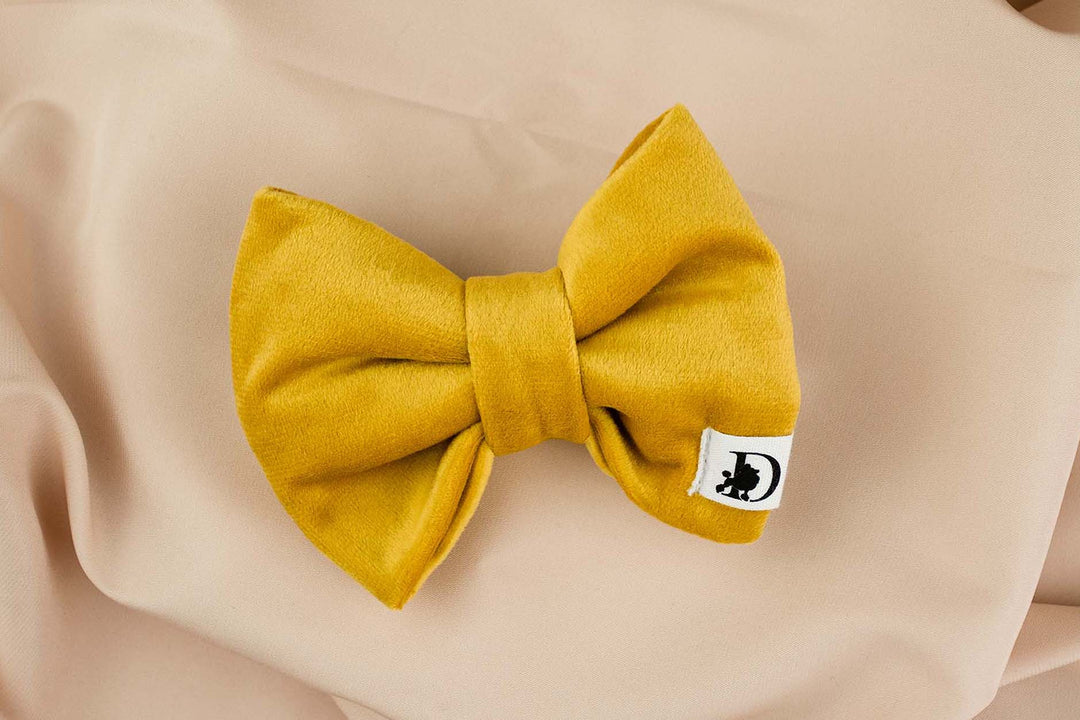 AMBER VELVET BOW TIE