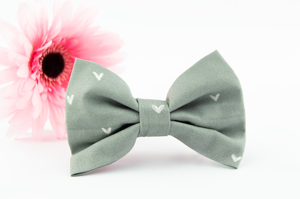Diog dog bow tie for all occasions