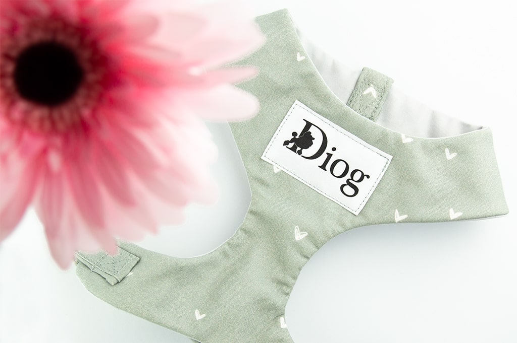 Diog dog chest harness for all occasions