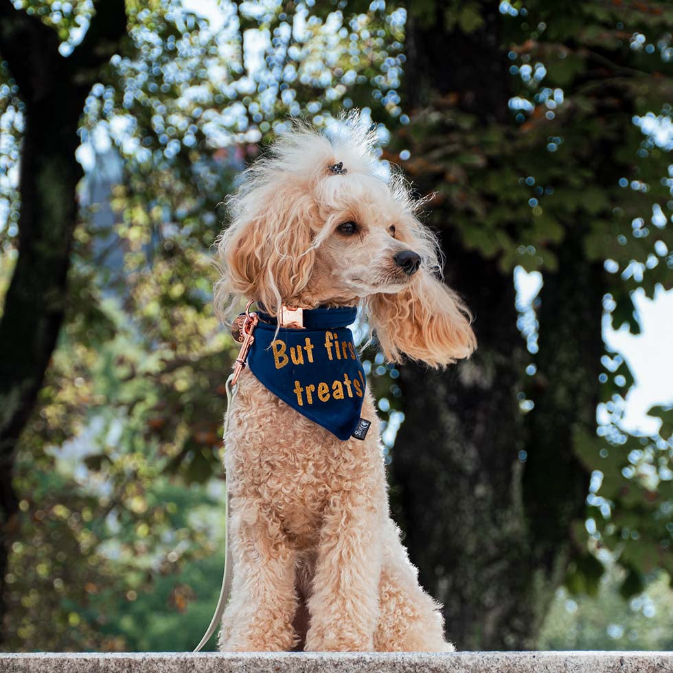 NAVY VELVET BANDANA