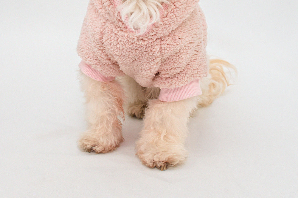 Pink Teddy Sherpa Hoodie for dogs, providing warmth and style.