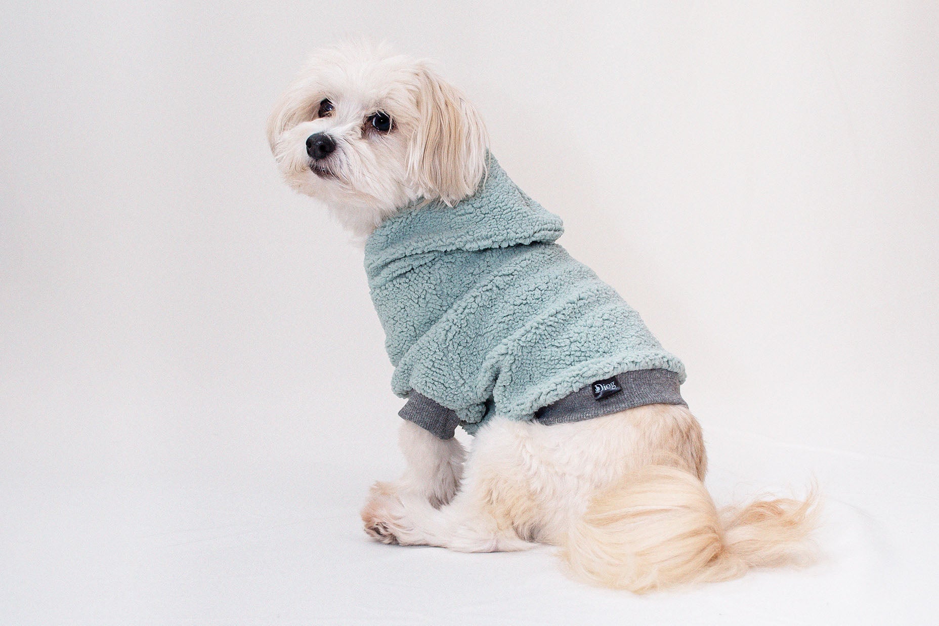 Dog sherpa outlet hoodie