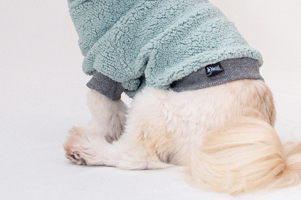 Mint green Teddy Sherpa Hoodie for dogs, providing warmth and style.
