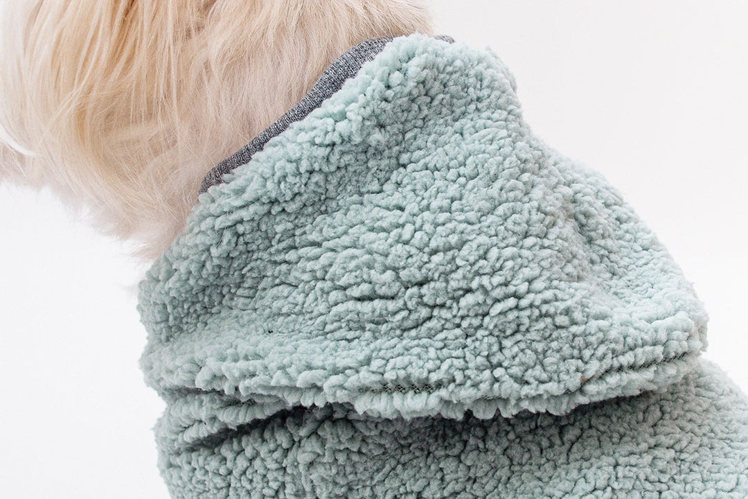 Mint green Teddy Sherpa Hoodie for dogs, providing warmth and style.